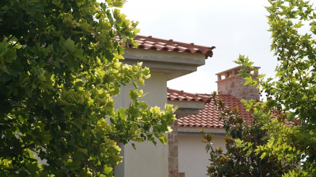 Villa with grape yard (Malakasa/ Mellisi ( Oropos Area, Attiki, Greece)